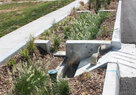 Middle Blue_Terrace Rain Garden