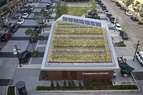 Park Lane_Green Roof