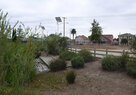 SouthLAWetlands_WesternOutlet