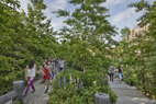 Brooklyn Bridge Park_Hedgerows