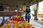 Harvest_Tassione Farms