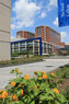 UK College of Agriculture Alumni Plaza - sunflowers