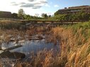 Wet prairie 