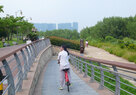 Shenzhen Bay_3dPromenade