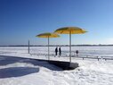 HtO Park_Winter Boardwalk