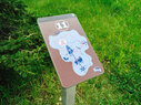 Site Context Signage