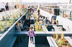 High_Line_PershingBeams