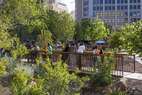El-paso-pedestrian-pathways-bridge