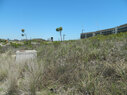 Gulf-State-Park-bioretention