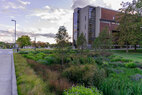 STLCC-bioretention