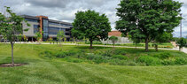 STLCC-rain-garden