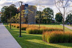 STLCC-switchgrass