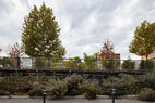 The-Rail-Park-rain-garden