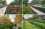 Xuhui-Runway-Park-rain-garden-seasons