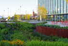 Cortex Commons terrace