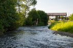 Story Mill restoration