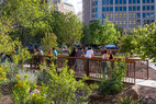 El-paso-pedestrian-pathways-bridge