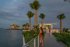 St. Pete Pier thicket1