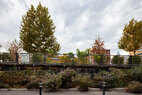 The-Rail-Park-rain-garden