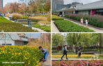 Xuhui-Runway-Park-gardens