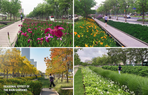 Xuhui-Runway-Park-rain-garden-seasons