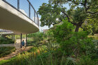 Waterloo-Park-walkway