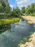 Waterloo-Park-wetland