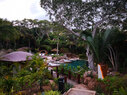 Naviva jungle pool 1