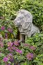 Boston Children's Hospital Wishingstone lion