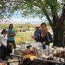 Espanola-Healing-mycelium-workshop1
