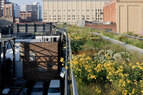 High_Line_After2