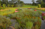 Pond Terraces