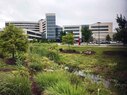 Owensboro_Dry River Garden