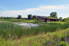 Wetland Ponds 