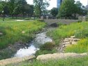 Boneyard-Native Plants