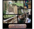 Brent Elementary-Green Roofs