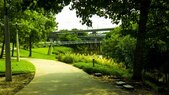 Buffalo Bayou-Bridge Side