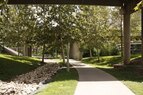 Buffalo Bayou-Shaded Trail