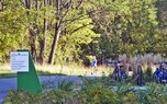 Carmel-Trails