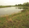 Carmel-Wetlands