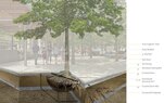 Central Wharf-Root Growth