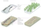 Central Wharf-Soil Infrastructure Matrix