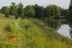 Chicago Botanic-Plant Spacing