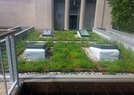 Chicago Museum-Green Roof