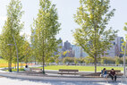 Cornell-Tech-benches