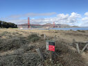 Crissy-Field-Golden-Gate