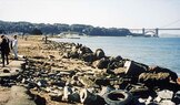 Crissy-Field-before-tires