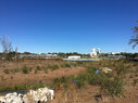 Depot-park-wetland