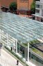 Director Park-Green Roof