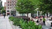 Director Park-Planter and Bosque